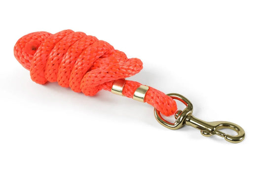 Bright orange lead rope with gold snap