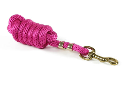 Pink rope with a gold clasp on a white background