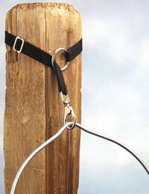 Black nylon bucket strap pictured hanging from a post while securing the handle of a bucket