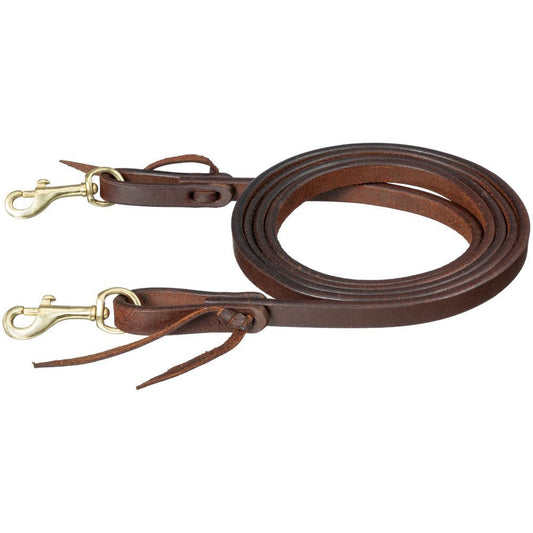 Brown leather reins with brass colored snaps on waterloop ends