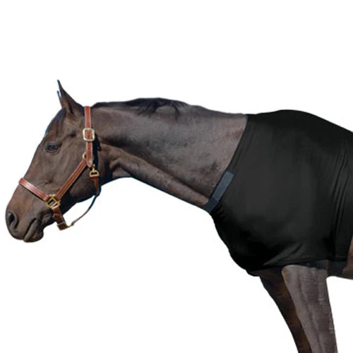 Dark horse wearing a black spandex fitted shoulder gurard.