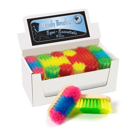 Colorful horse grooming brushes in a box with 'Dandy Brushes Equi-Essentials' branding.