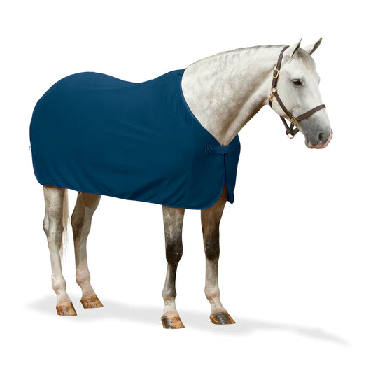 Horse wearing a blue rug on a white background