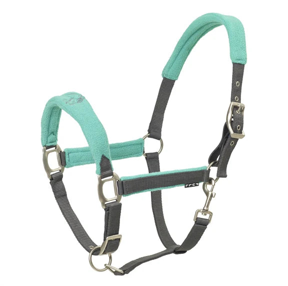 Horse halter with teal and gray straps on a white background