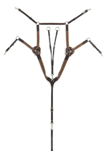 5 point running martingale