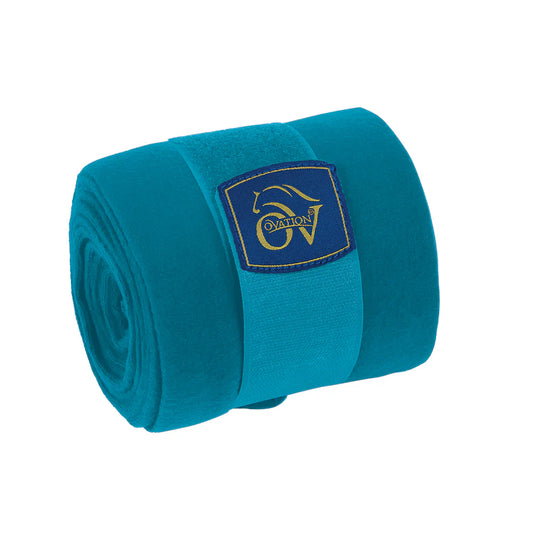 Teal bandage roll with a brand logo on a white background