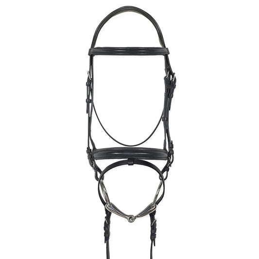 Black horse bridle with flash on a white background