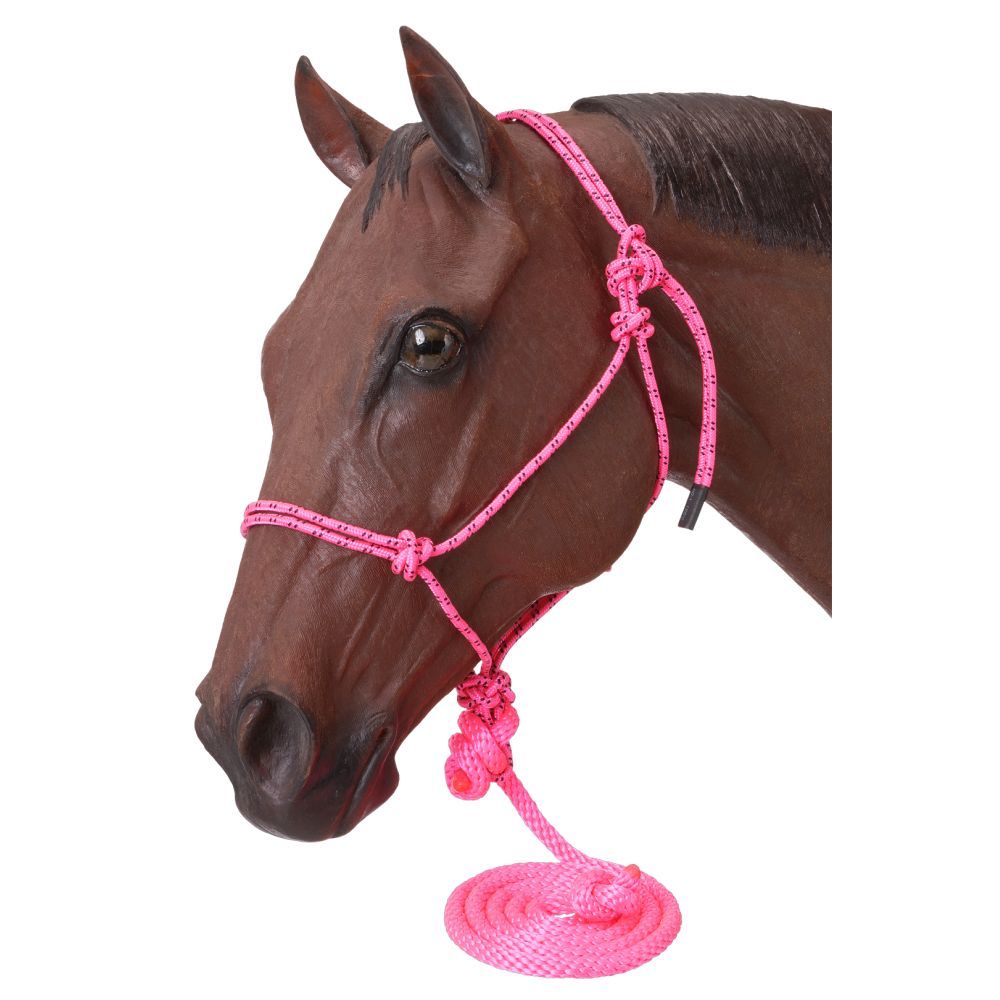 horse wearing a pink rope halter with lead