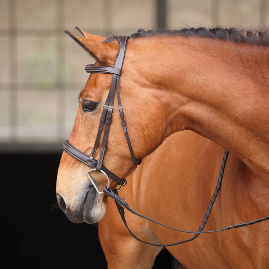 Light bay horse wearing an english bridle