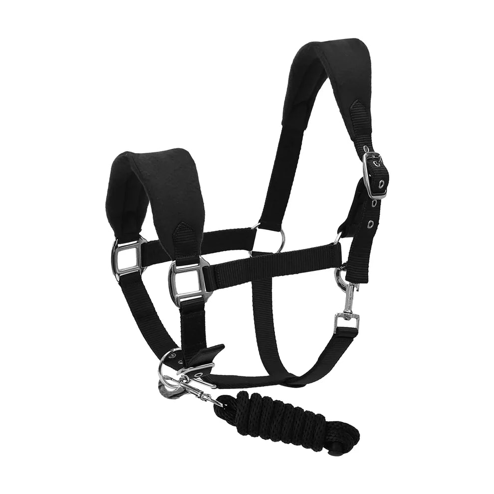 Black horse halter with a rope lead on a white background
