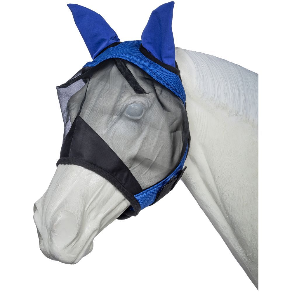 White model horse wearing a blue and black mesh fly mask with ears