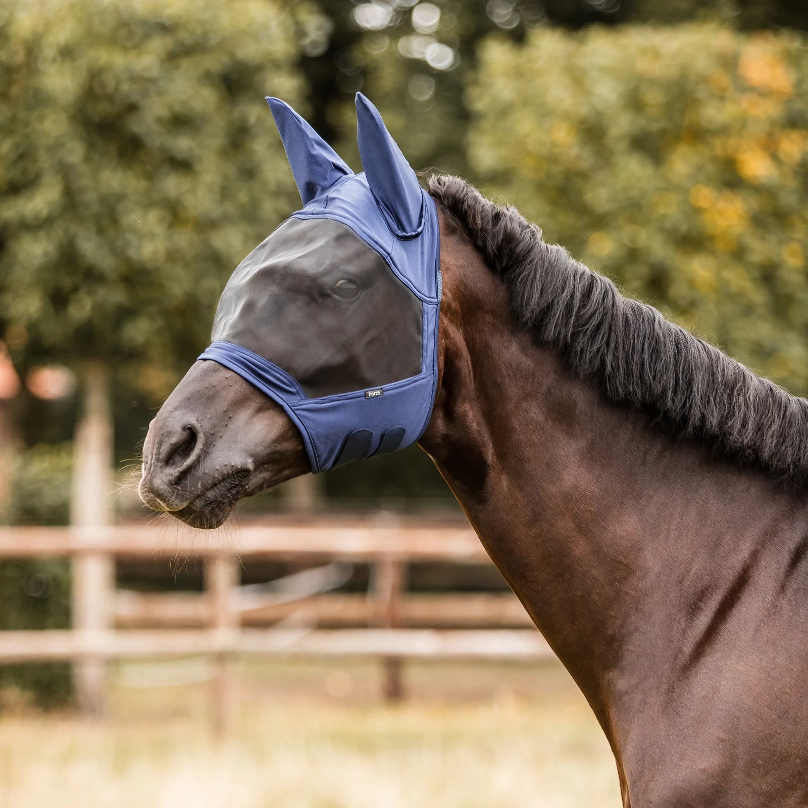 Horse wearing a blue fly mask in an outdoor setting with trees in the background