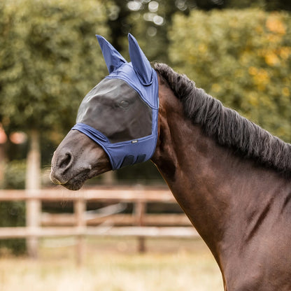 Horse wearing a blue fly mask in an outdoor setting with trees in the background