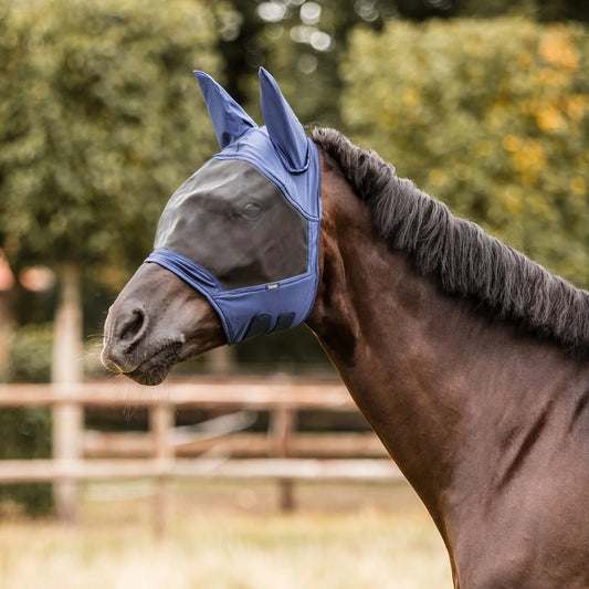 Horse wearing a blue fly mask in an outdoor setting with trees in the background