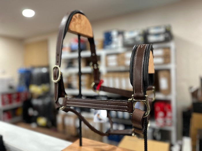 right view of leather halter on brown wood holder 