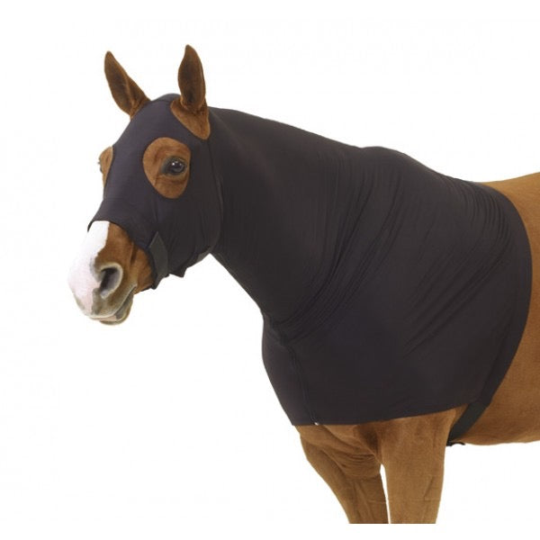 chestnut horse wearing a black spandex neck guard