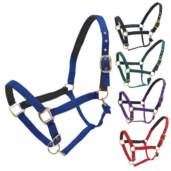 5 nylon equestrian halter in various colors