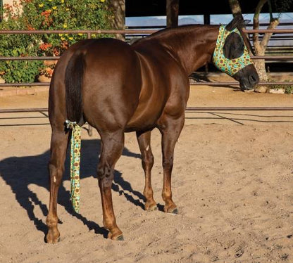 Brown horse wearing a printed fly mask with a matching tail bag