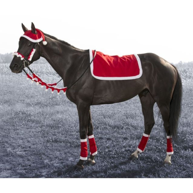 picture of a dark horse wearing a santa themed costume - red and white saddle pad, leg wraps, hat, and bridle accessories.