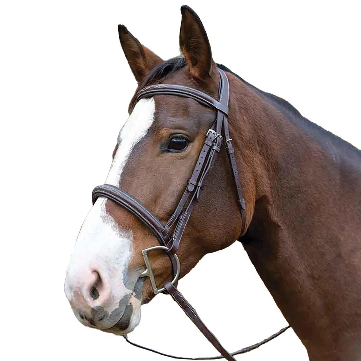 Head and neck of a brown horse with a white blaze wearing a brown leather halter and a dee ring bit