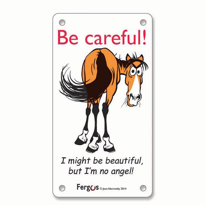 Fergus character stall sign "Be careful! I might be beautiful, but I'm no angel"