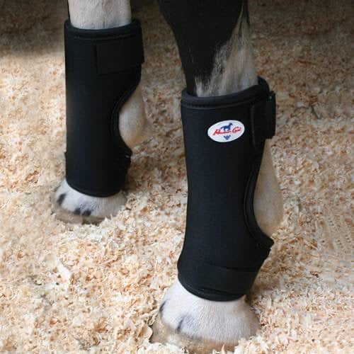 Front fetlocks of a horse leg wearing protective boots