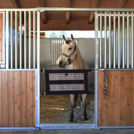 horse looking out of his stall that is blocked with a fabric stall guard.