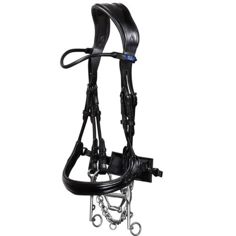 Black leather double dressage bridle