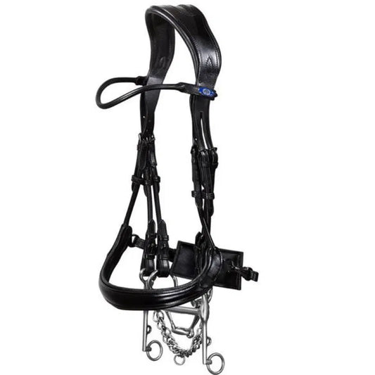 Black leather double dressage bridle