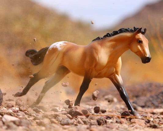 model of a buckskin appaloosa