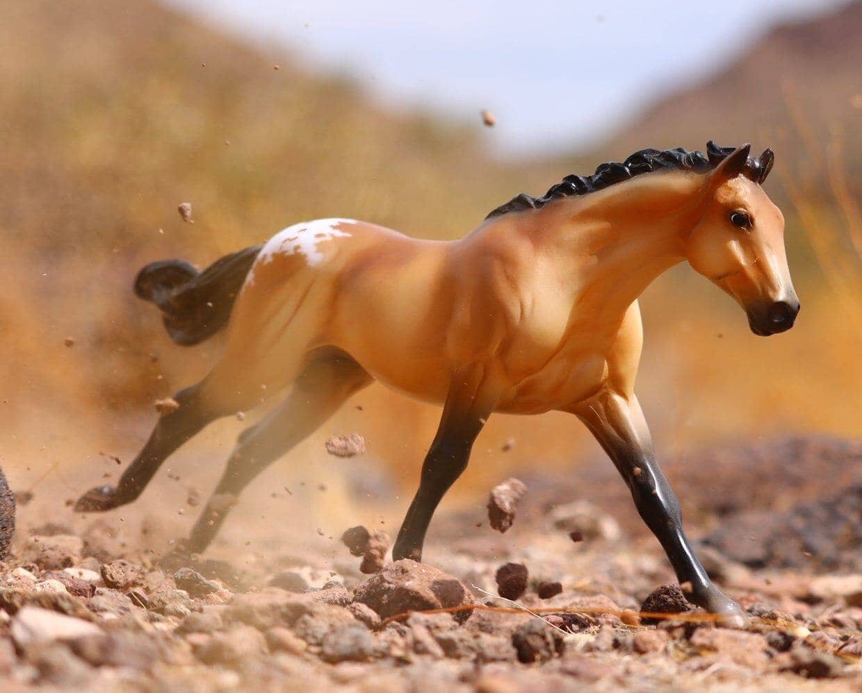 model of a buckskin appaloosa