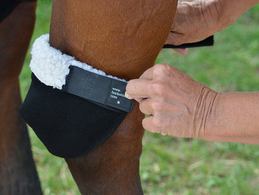 close up of a horse's hock being fitted with a black hock shield with white fleece lining.