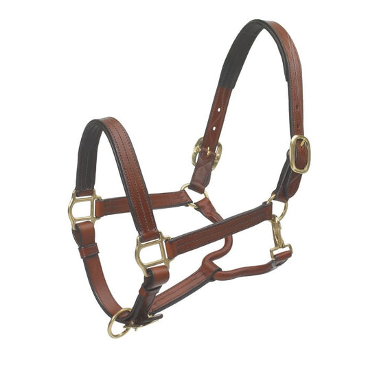 left view of leather horse halter on white background