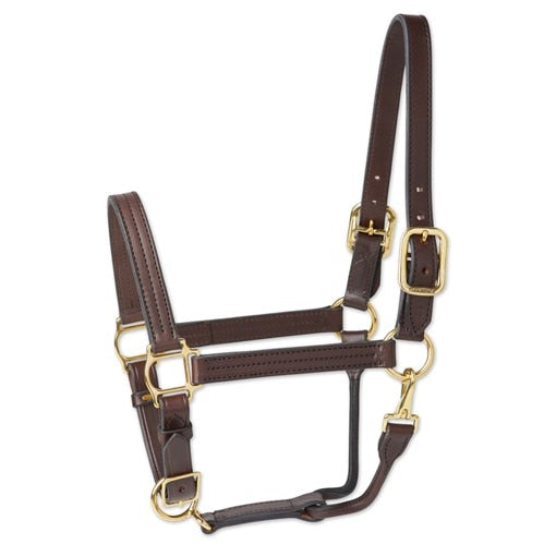 left view of brown horse halter on white background