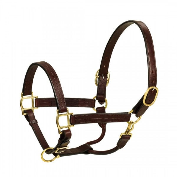 left front view of brown leather horse halter on white background