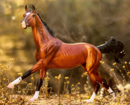 left side view of bay horse with four white legs cantering in a grass field 