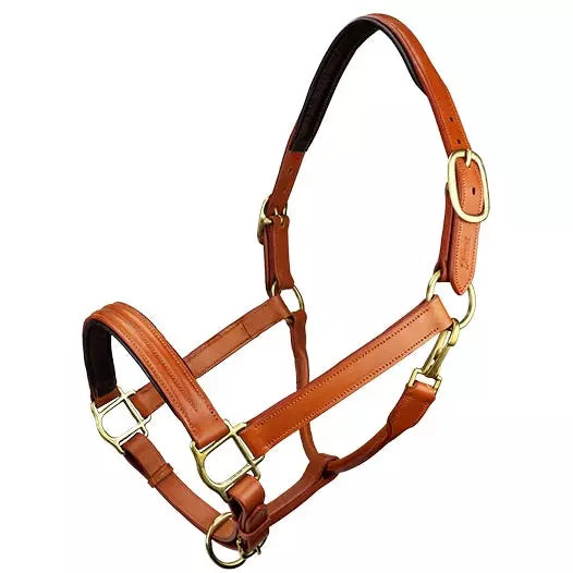 left view of light brown leather horse halter on white background