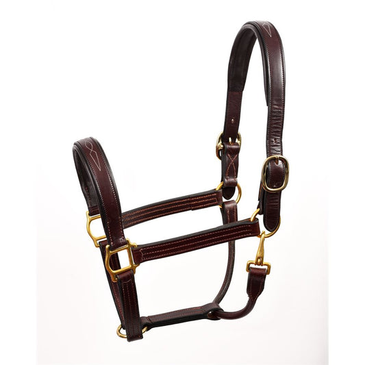 left side view of leather horse halter against white background