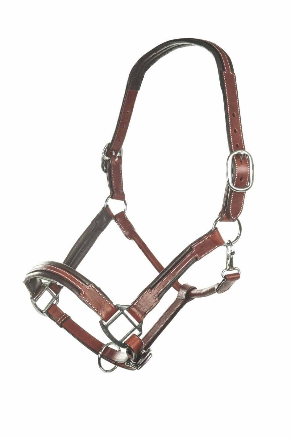 front view of light brown and dark brown horse lather halter on white background d