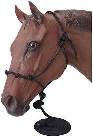 black rope horse halter on horse model