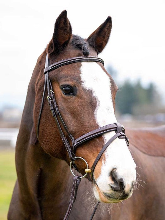 right view of brown horse with white stripe down face wearing brown leather bridle with removable flash and loose ring bit, with forlock braided and ears forward with a blurred nature background