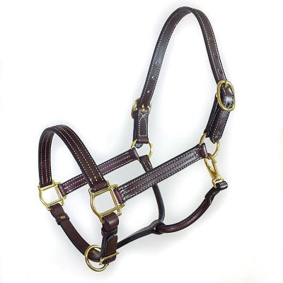left view of leather halter on white background