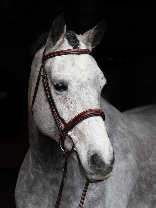 right view of grey horse wearing dark drown fancy stitched equestrian bridle with egg butt bit on black background