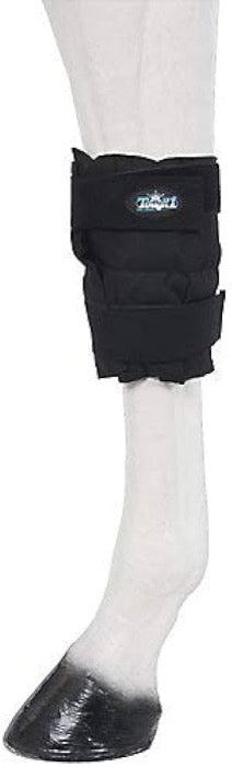 white horse leg with black equestrian ice wrap around knee