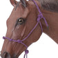 left view of purple rope halter on horse model