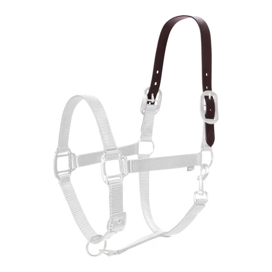 Brown leather crown piece shown on a ghosted halter