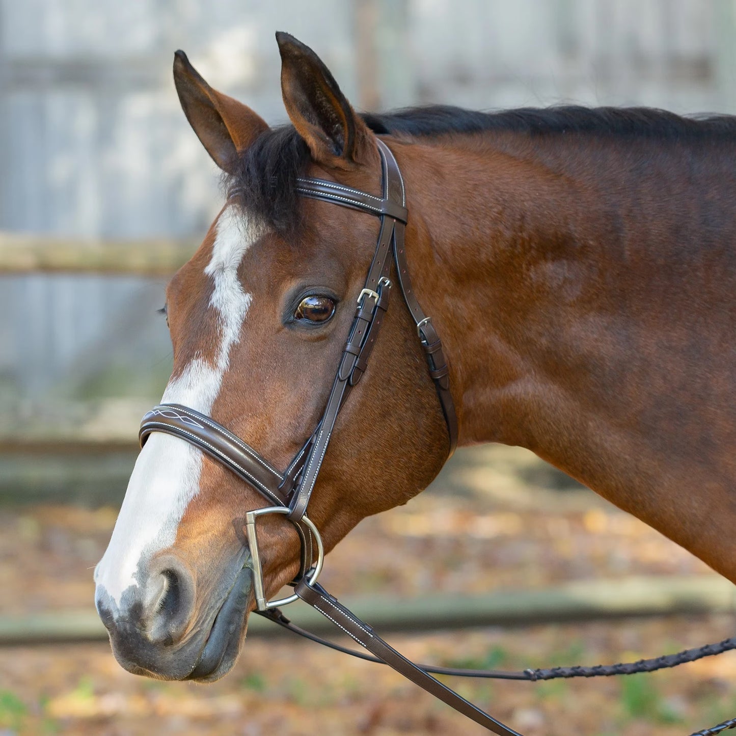 Horse wearing a fancy stitched bridle with reins