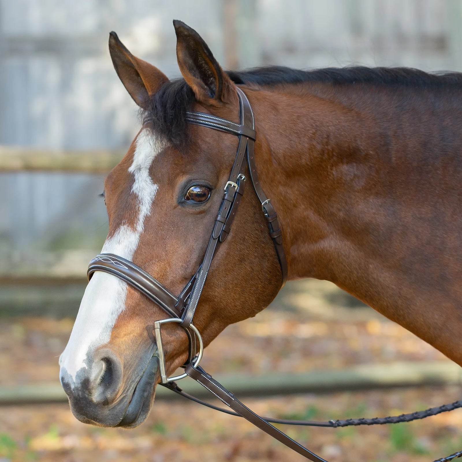 Horse wearing a fancy stitched bridle with reins