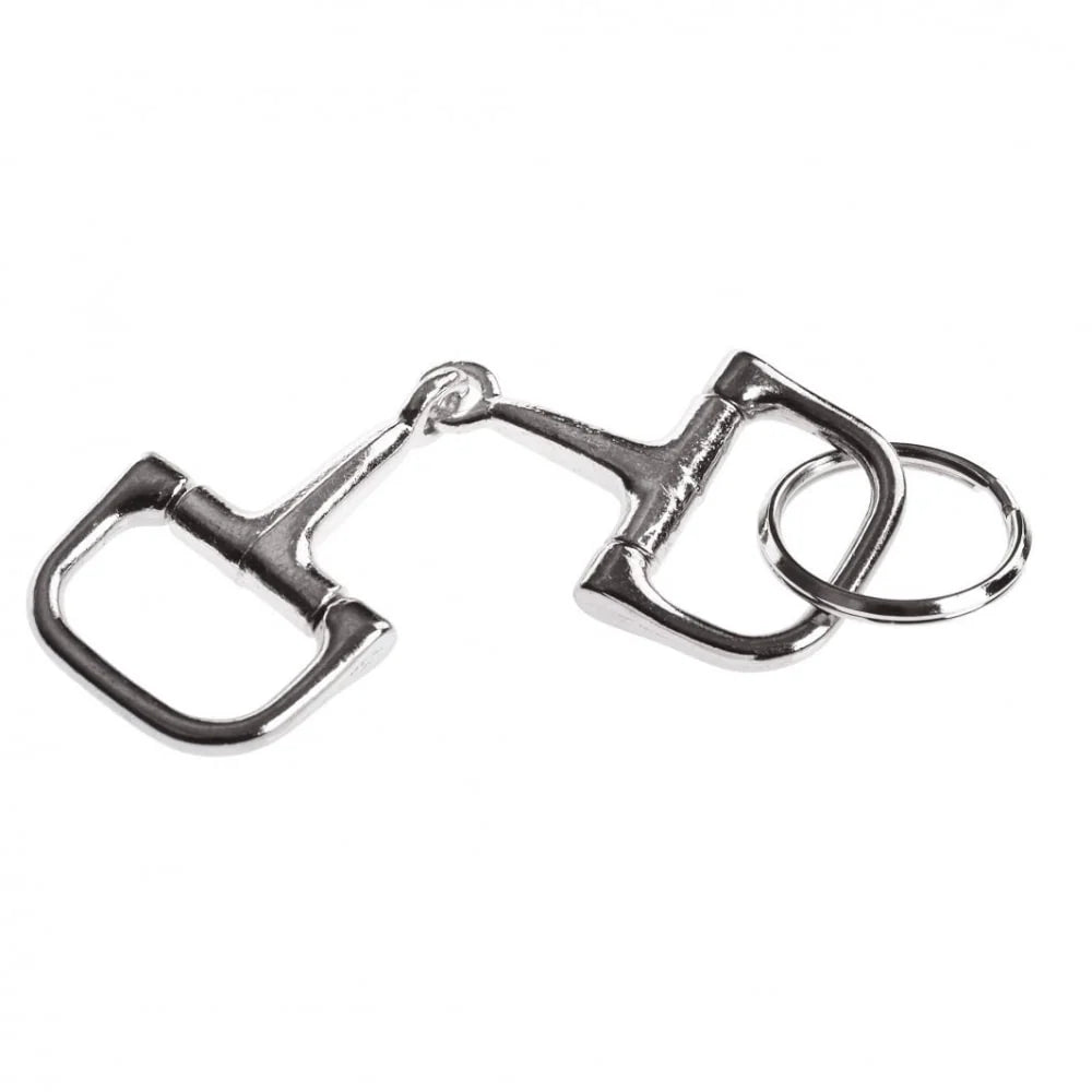 Silver D-ring bit key chain on a white background