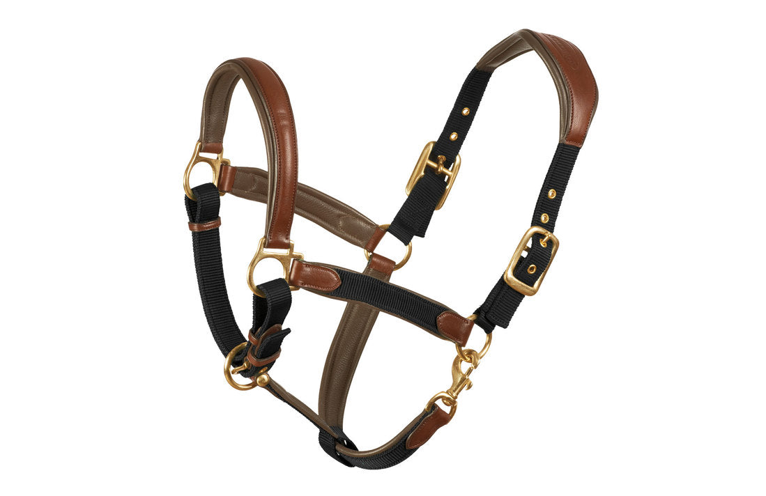 Horse halter with a sporty light brown leather and black nylon combo. Beautiful brass fittings.